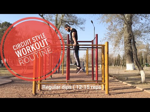 Full Body Workout - წრიული სავარჯიშო პროგრამა ( Circuit Style Workout Routine ) / Street workout